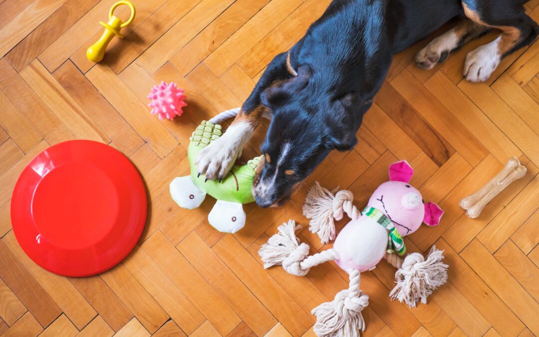 Safe and Sound: Pet Toy and Gift Selection for a Happy and Healthy Pet